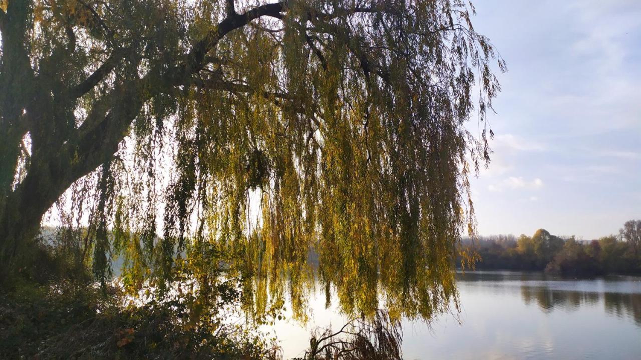 Brétigny-sur-Orge Residence Carouge Appart Hotel מראה חיצוני תמונה